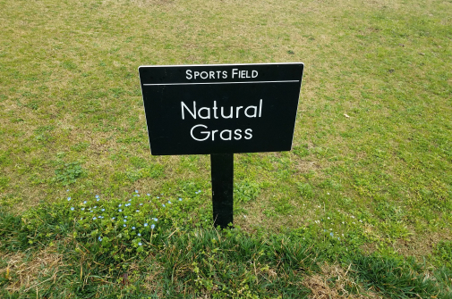 Natural Turf Fields
